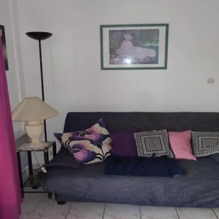 Apartamento F2 Confortable Avec Balcon Pres Des Thermes D'amelie-les-bains - Fr-1-703-61