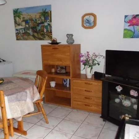 Apartment F2 Confortable Avec Balcon Pres Des Thermes D'amelie-les-bains - Fr-1-703-61 *