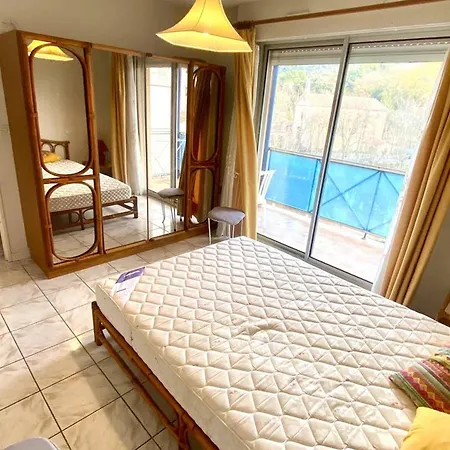 Apartamento F2 Confortable Avec Balcon Pres Des Thermes D'amelie-les-bains - Fr-1-703-61 Amélie-les-Bains-Palalda