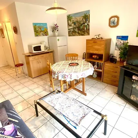 Apartamento F2 Confortable Avec Balcon Pres Des Thermes D'amelie-les-bains - Fr-1-703-61 *