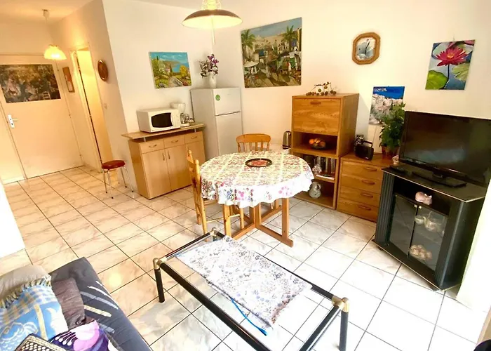 Appartamento F2 Confortable Avec Balcon Près Des Thermes D'amélie-les-bains - Fr-1-703-61 *